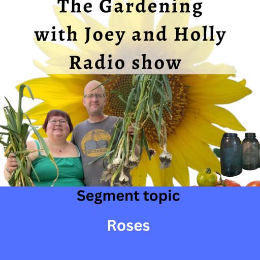 Episode 1383: Seg 2 of S9E11 Roses The Gardening with Joey and Holly Radio Show