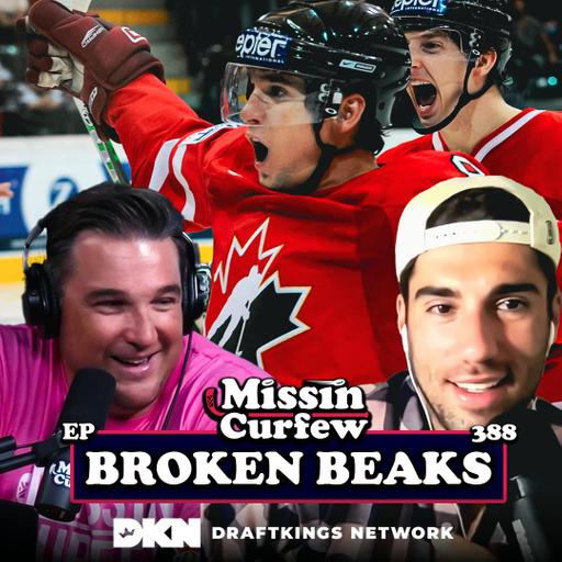 388. Broken Beaks