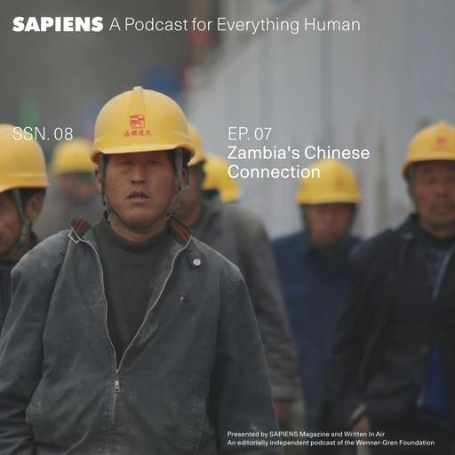 Zambia’s Chinese Connection