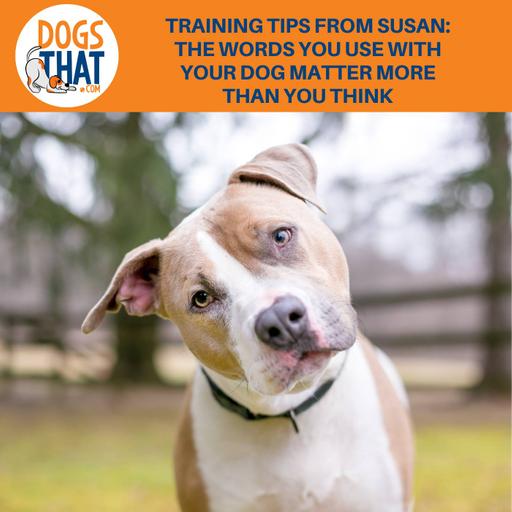 Training Tips From Susan: The Words You Use With Your Dog Matter More Than You Think