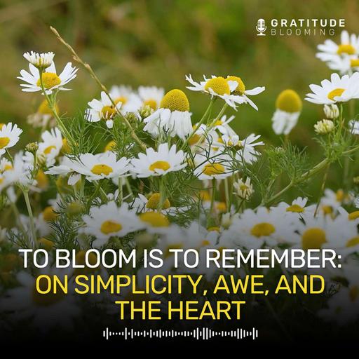 To Bloom Is to Remember: On Simplicity, Awe, and the Heart