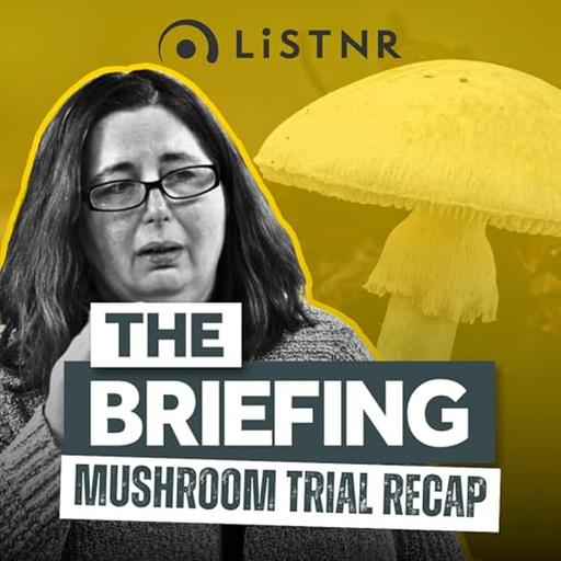 The Briefing | Two-minute mushroom trial recap