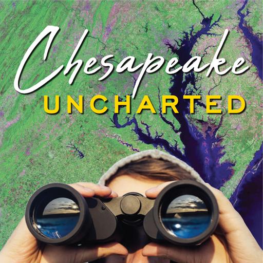Season 4 Trailer: Chasing Migrations