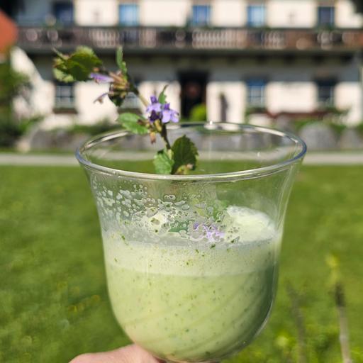 Urlaub am Bauernhof - Kräuter Fitness Drink