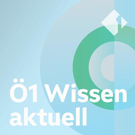 Trommelnde Schimpansen, neugierige Senioren