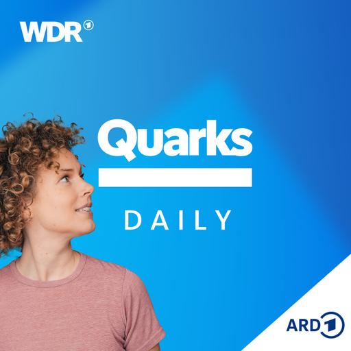 Aus Fehlern lernen - Wie funktioniert das?