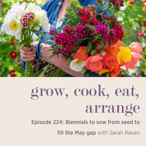 Biennials to sow from seed to fill the May gap - Episode 224