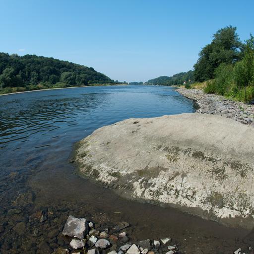 Trockenheit - Für wen die anhaltende Dürre zum Problem wird