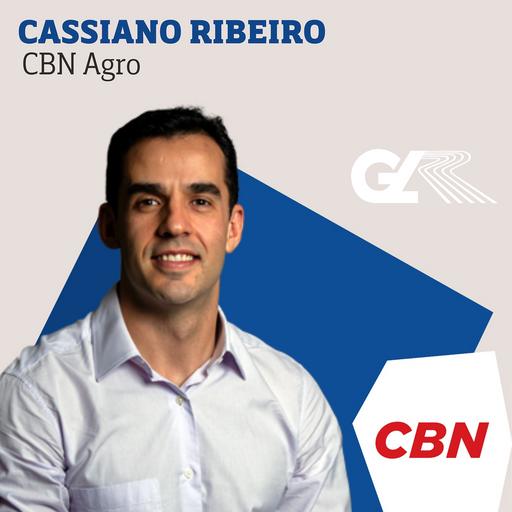 Brasil deve colher mais soja, milho e algodão