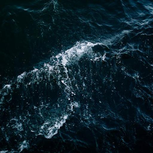 Seven Anchors That Hold When Tragedy Hits