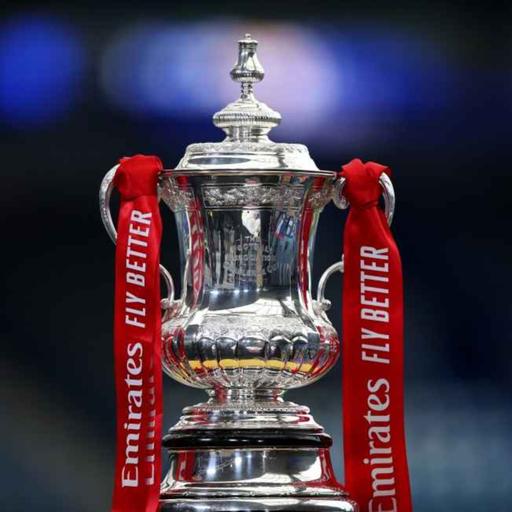 FA CUP FINAL: Palace v City