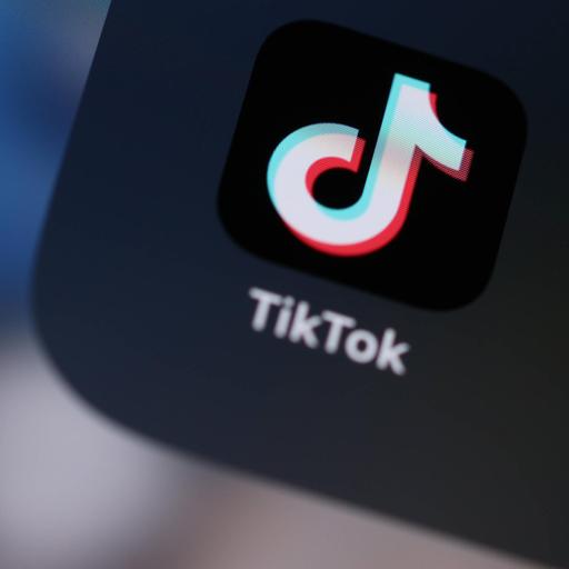 Social Media - TikTok im Fokus der Wissenschaft
