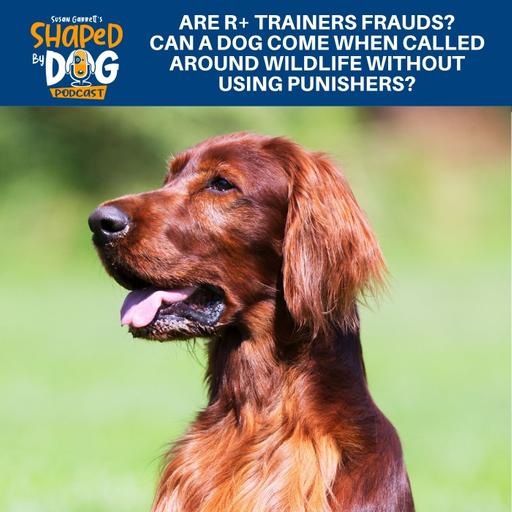 Are R+ Trainers Frauds? Can A Dog Come When Called Around Wildlife Without Using Punishers? #305