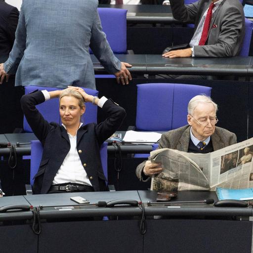 Verfassungsschutz-Gutachten - Sollte die AfD verboten werden?