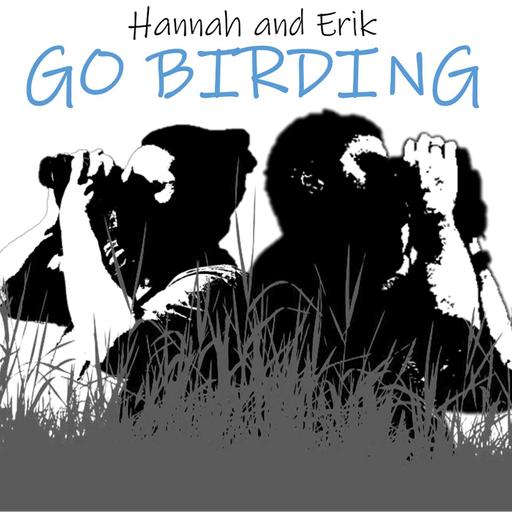 Spring Birding in the RGV