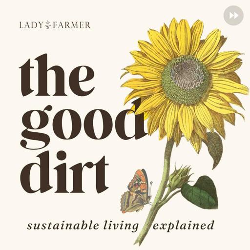 Encore: Attainable Sustainability the 80/20 Way with Stephanie Miller