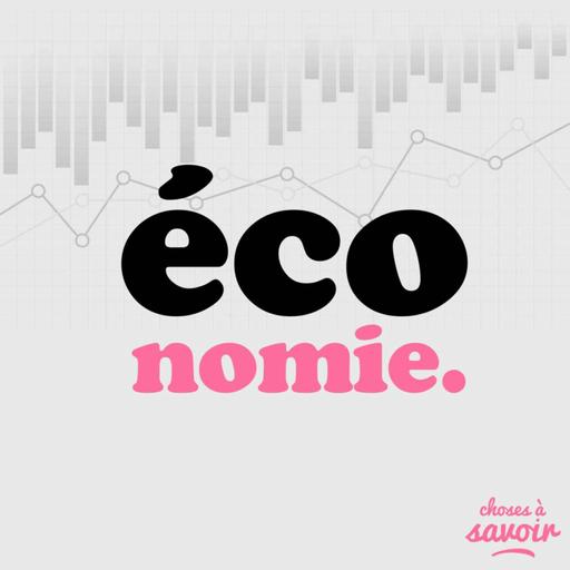 Combien coûte un référendum ?