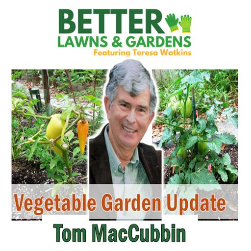S2 Ep357: Better Lawns and Gardens - Hour 1 Tom MacCubbin Vegetable Garden Update! May 17 2025