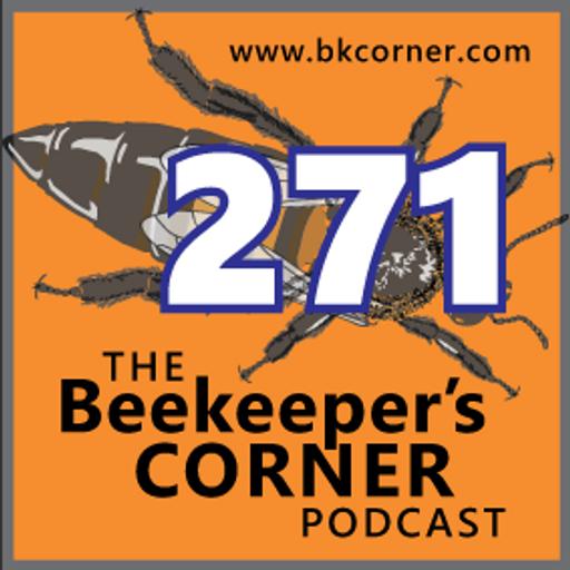 BKCorner Episode 271 - City Bees NYC