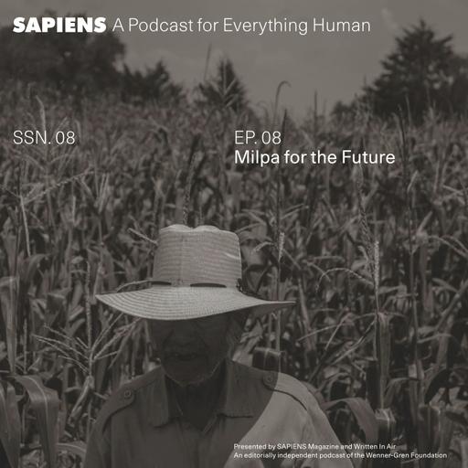 Milpa for the Future