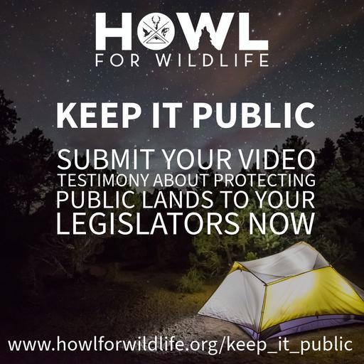 Public Lands NOT FOR SALE