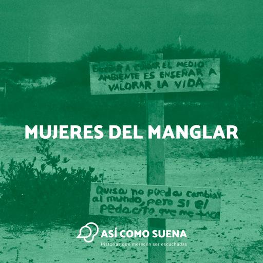 Mujeres del manglar