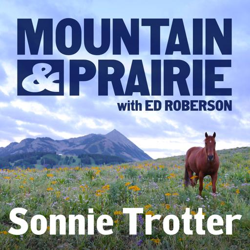Sonnie Trotter – On Flow, Family, and the Long Game