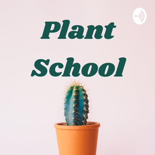 Running an Orchid Business w/ Toine Overgaag | Ep. 166