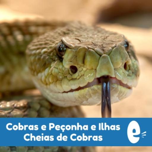 Cultural Portuguese 021: Cobras e uma Ilha Cheia Delas