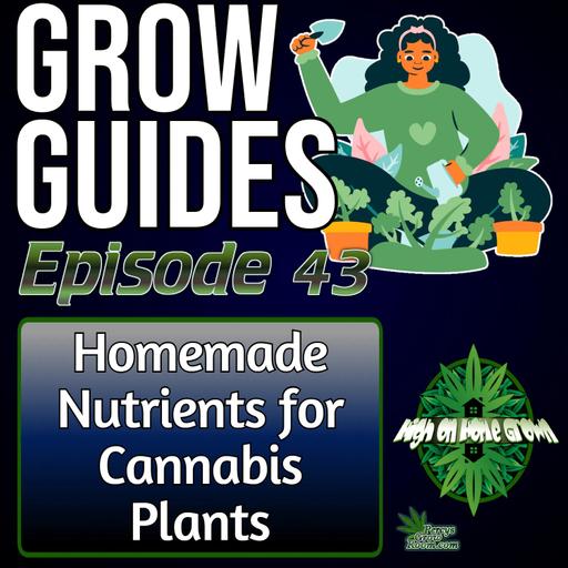 Homemade Nutrients for Cannabis Plants | Cannabis Grow Guides Episode 43