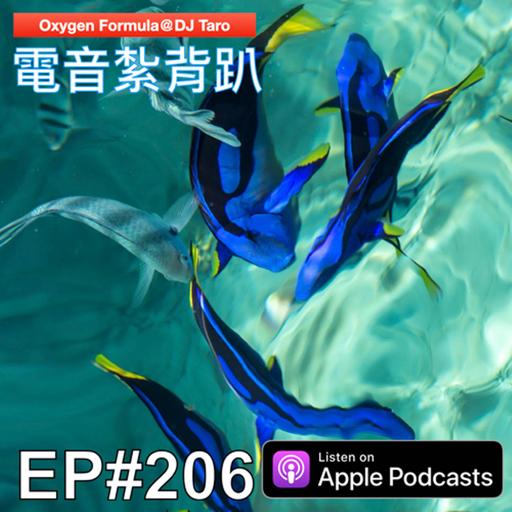 EP206【電氣節拍】歲月如河。既爭朝夕，也盼永久