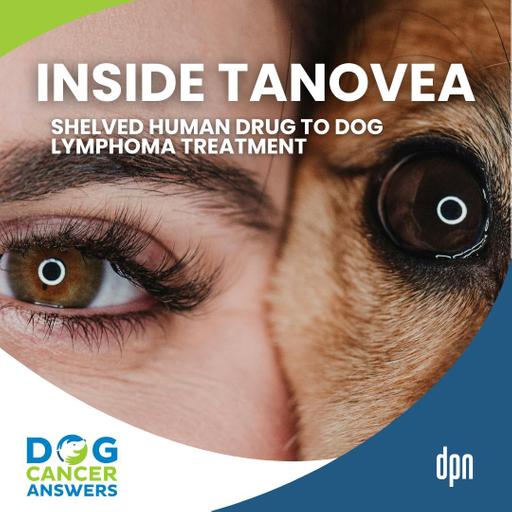 Insider Look at Rabacfosadine (Tanovea) from Shelved Human Drug to Dog Lymphoma Treatment | Dr. Doug Thamm #284