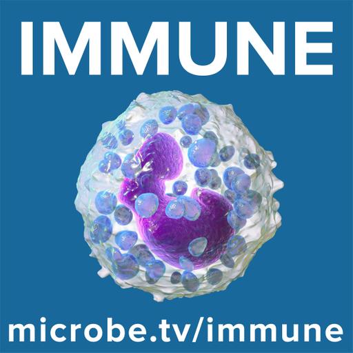 Immune 92: Gut symbiont breaks antibody