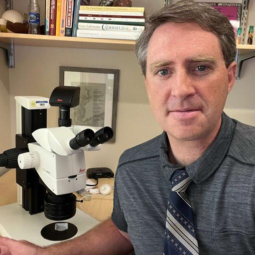 DNA Sequencing and Ground Beetles