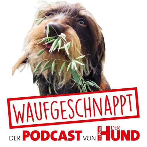 Kräuter für den Hund - Diana Tiebes