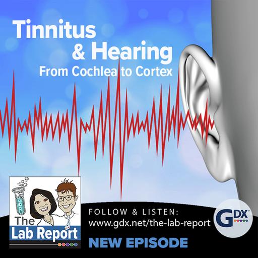 Tinnitus and Hearing: From Cochlea to Cortex