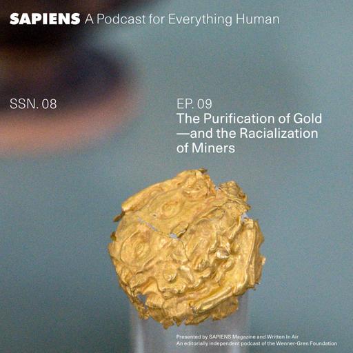 The Purification of Gold—and the Racialization of Miners