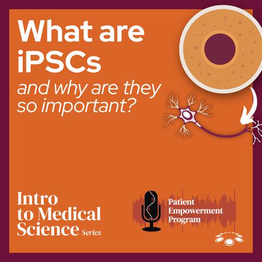 What Are iPSCs—and Why Do They Matter?