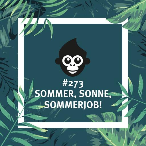 #273 Sommer, Sonne, Sommerjob!
