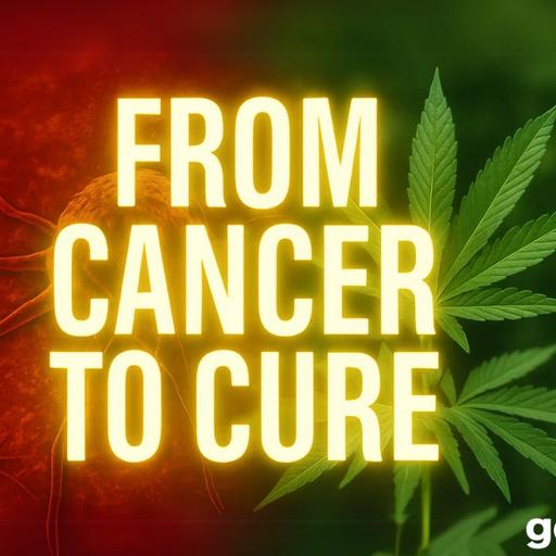 From Cancer to Cure: How Plant Medicine Changed Vince Sanders’ Life I goodsugar239