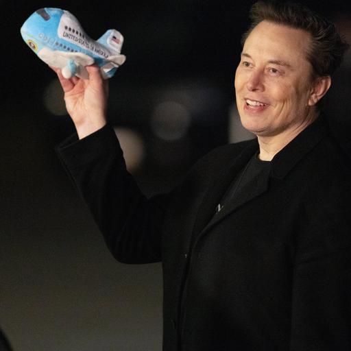 Die Elon Musk Story - Der Absturz des einstigen Helden