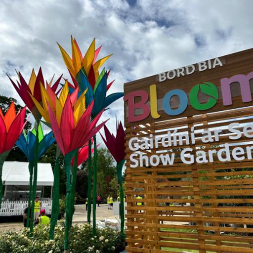 Mark Gregory judging at Bord Bia Bloom in Dublin