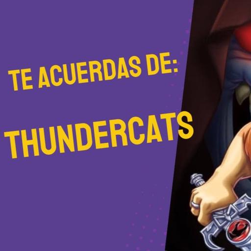 Te acuerdas de: Thundercats