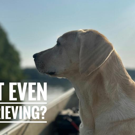 What Even is Retrieving?