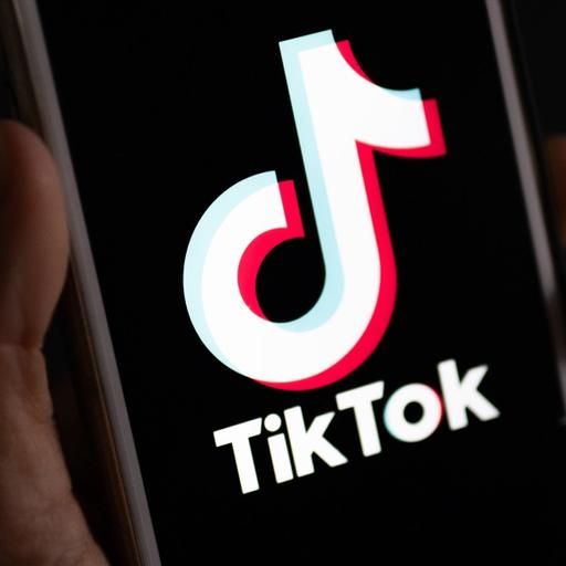 Territorio Negro: Tik Tok, el BOE de los clanes gitanos