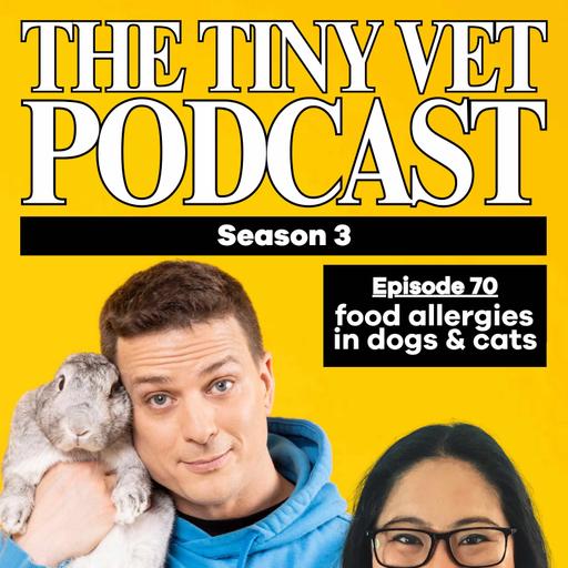 70: Food Allergies in Dogs & Cats