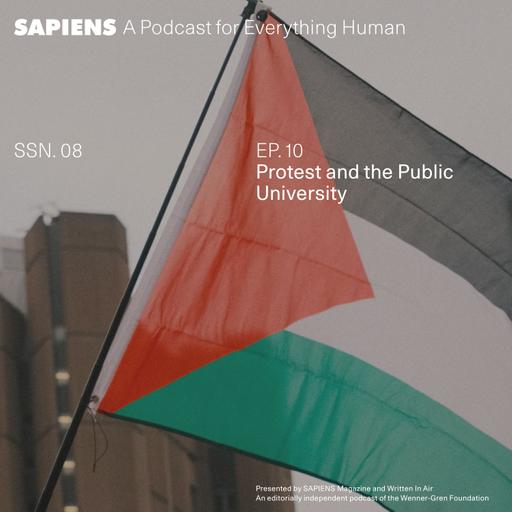 Protest and the Public University