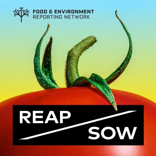 Fertilizer’s toxic journey