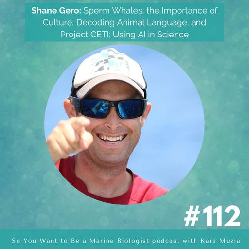 112. Shane Gero: Sperm Whales, the Importance of Culture, Decoding Animal Language, and Project CETI: Using AI in Science
