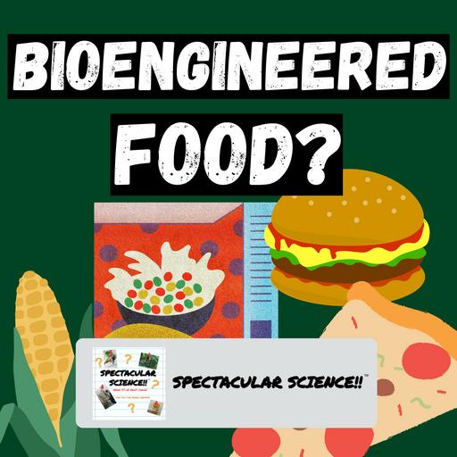 What Are Bioengineered Food Ingredients? Revealed